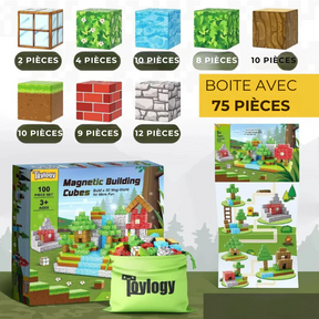 Minecraft® Magnetische Bouwblokken - 48 / 64 / 75 Delen